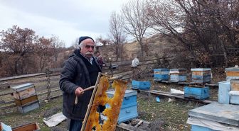 Koyulhisar'da Arı Kovanları Parçalandı