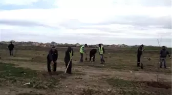 Kulu'da 7 Bin 500 Fidan Toprakla Buluşuyor