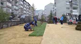 Belediyeden Yeşillendirme Çalışması