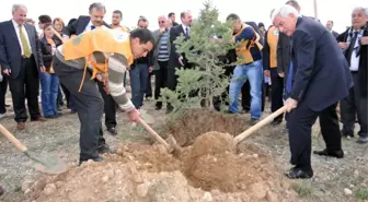 Kmü'de Ağaçlandırma Çalışmaları