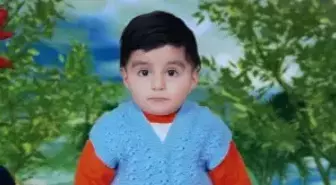 Yedikleri Ottan Zehirlendikleri İddiası