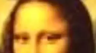 Başka Bir Leonardo Kitabı