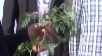 Öldürücü Bitkiye Dikkat