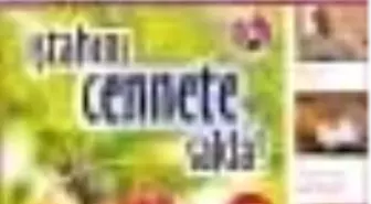 Elif Elif Doğal Aile Dergisi Sayı: 21 Kitabı