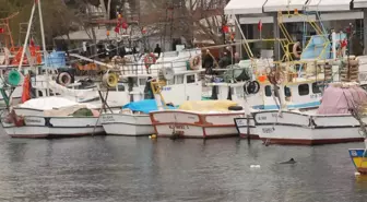 Sinop'ta Balıkçılara Sıkı Takip