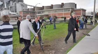 Soma'da Santral Fidanlarla Yeşerecek