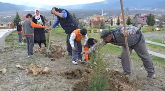 Minik Öğrenciler Parka Fidan Dikti