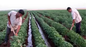 Şanlıurfa'da Kısa Kısa