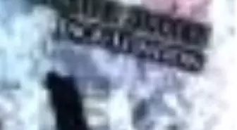 Cinayet Şirketi Kitabı