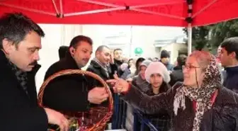 Şah Sultan'ın Kabri Bulundu