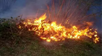 Giresun'u Yağmur Kurtardı