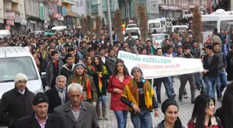 Hakkari'de Nevruz Kutlamaları Başladı