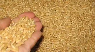 Konya Ticaret Borsası