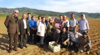 İzmir CHP, 4 Koldan Alan Çalışması Yaptı