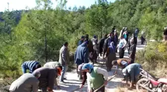 Köylüler Yolu Açtı, Milletvekili Geçti