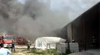 Depo Yangınında 8 Yol Çizgi Aracı Yandı