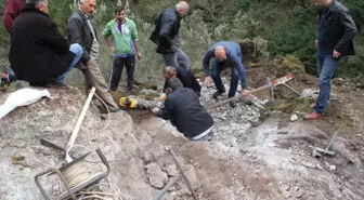 Giresun'da Ceneviz Definesi Avı