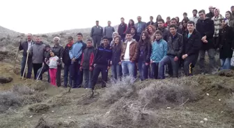 Burdur'da Fidan Dikimi