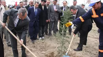 Karatay'da 300 Fidan Toprakla Buluştu