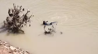 Mehmetçik Helikopterle Çaya Düşen Şahsı Arıyor