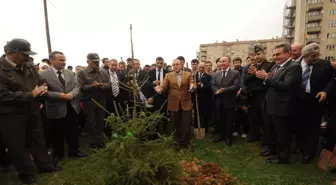 'Uluslararası Ormanclık ve Ağaç Bayramı'