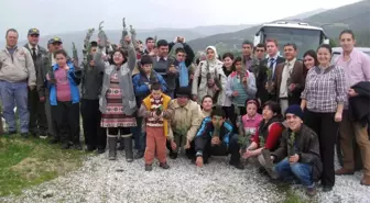 Uygulama Merkezi Öğrencileri Gölcük Yolunda Fidan Dikti