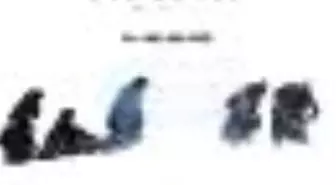 Eve Dönüş - Sarıkamış 1915 Kitabı