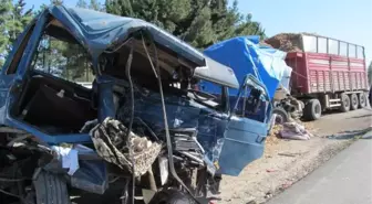 Ceyhan'da Zincirleme Tır Kazası: 1 Ölü, 2 Yaralı