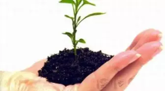 Eşleri Adına Fidan Dikecekler