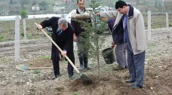 Orman Haftası Çaycuma'da Ağaç Dikimiyle Kutlandı