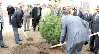 Samsun'da Orman Haftası Etkinlikleri