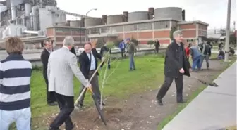 Soma'da Fidan Dikimi