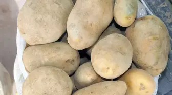 Patates Üreticilerinin Sıkıntıları