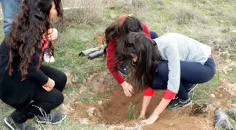 Gaziosmanpaşa Koyulhisar Meslek Yüksekokulu Öğrencileri Ağaç Dikti