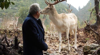 Hataylı İşadamı Yaban Hayatıyla İç İçe Yaşıyor