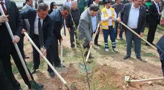 Honaz'da Memur-Sen'den Hatıra Ormanı