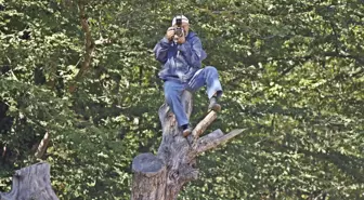 Cambaz Değil Fotoğraf Sanatçısı