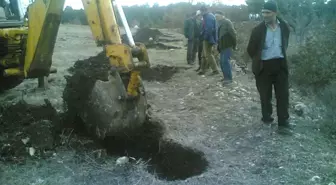 Kütahya'da 'Organik Ceviz Vadisi' Projesi