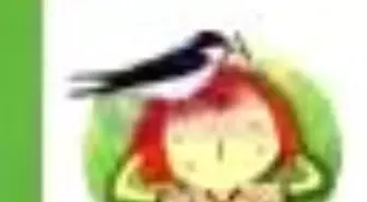 Harflerin Kardeşliği Kitabı