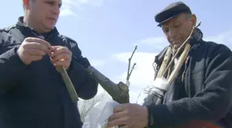 Kaman Cevizi Aşılama Eğitimi Veriliyor