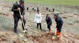 İl Özel İdare Yeşil Bir Sivas İçin Harekete Geçti