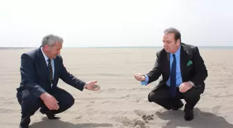 Bu Kum Cinsel Gücü Artırıyor