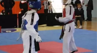 Anadolu Ligi Taekwon-Do Müsabakaları