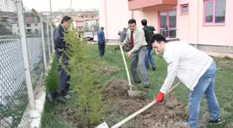 Sarıkaya Spor Salonu Çevresi Ağaçlandırıldı