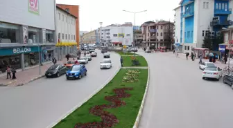 Turhal'da Kavşak ve Refüjler Rengarenk