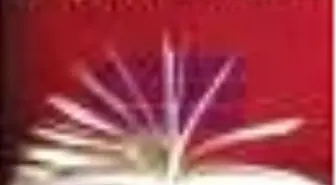 Hayat ve Roman Kitabı