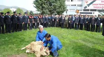 Amasya'da Polisler Kurban Kesti