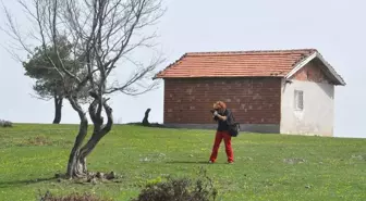 Doğada Görüntü Avcıları Niksar'da Buluşacak