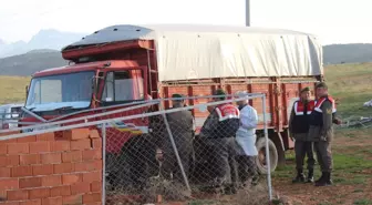 Hareket Eden Kamyonun Altında Kalan Besici Öldü