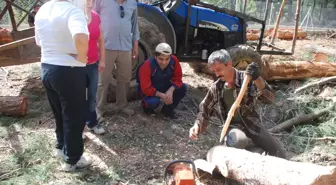 Karaisalı'da Kamalak Keyfi